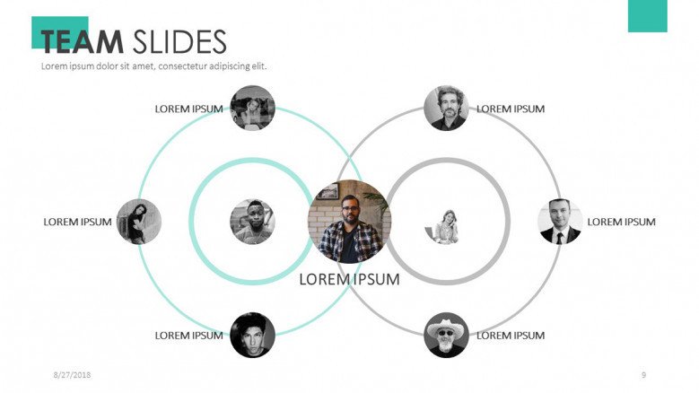 team member in circular chart with picture